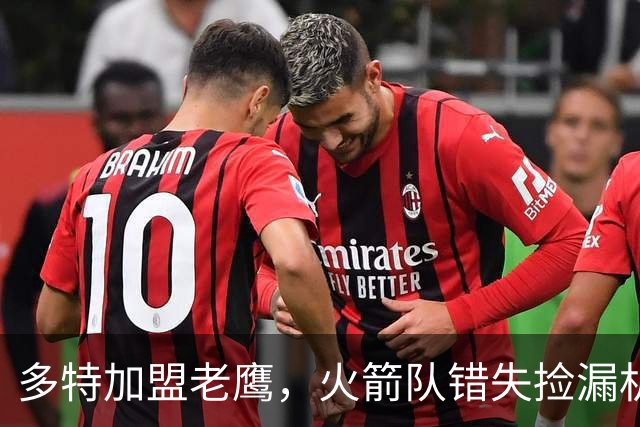 多特加盟老鹰，火箭队错失捡漏机会？专家分析：斯通未出手太可惜