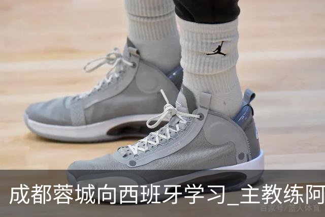 成都蓉城向西班牙学习 主教练阿洛伊西：去了解他们背后的“哲学论”