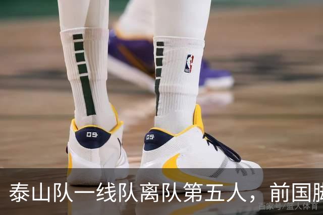 泰山队一线队离队第五人，前国脚转会云南，名单调整是看点