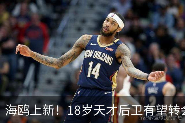 海鸥上新！18岁天才后卫有望转会英格兰，天赋顶级布莱顿要买