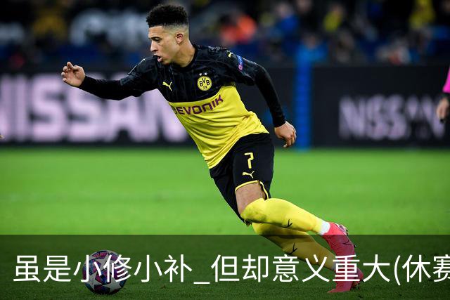 虽是小修小补 但却意义重大(休赛期part2)-NBA-国王专区-虎扑社区
